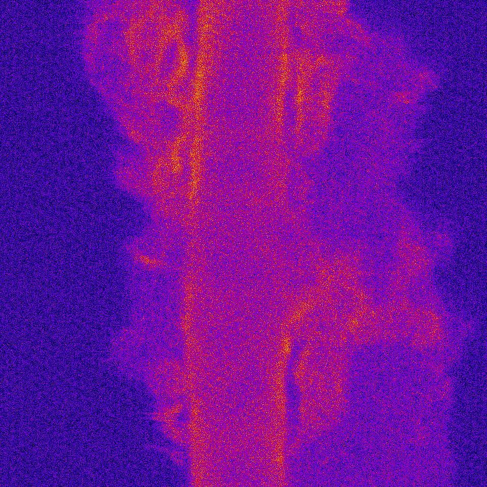 Carbon nanotubes suspended on graphene